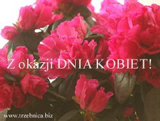 Z serdecznymi �yczeniami!