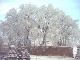 Trzebnica - rotunda w. Jadwigi!
