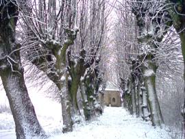 Trzebnica - szpaler do kapliczki św. Jadwigi