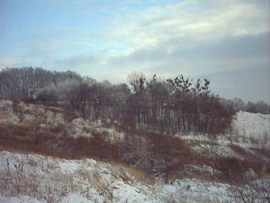 Trzebnica - widok na Koci Gr!