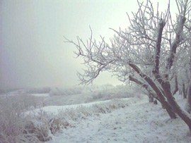 Trzebnica - sady okalające miasto!